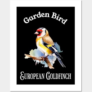 Garden Bird European Goldfinch Posters and Art